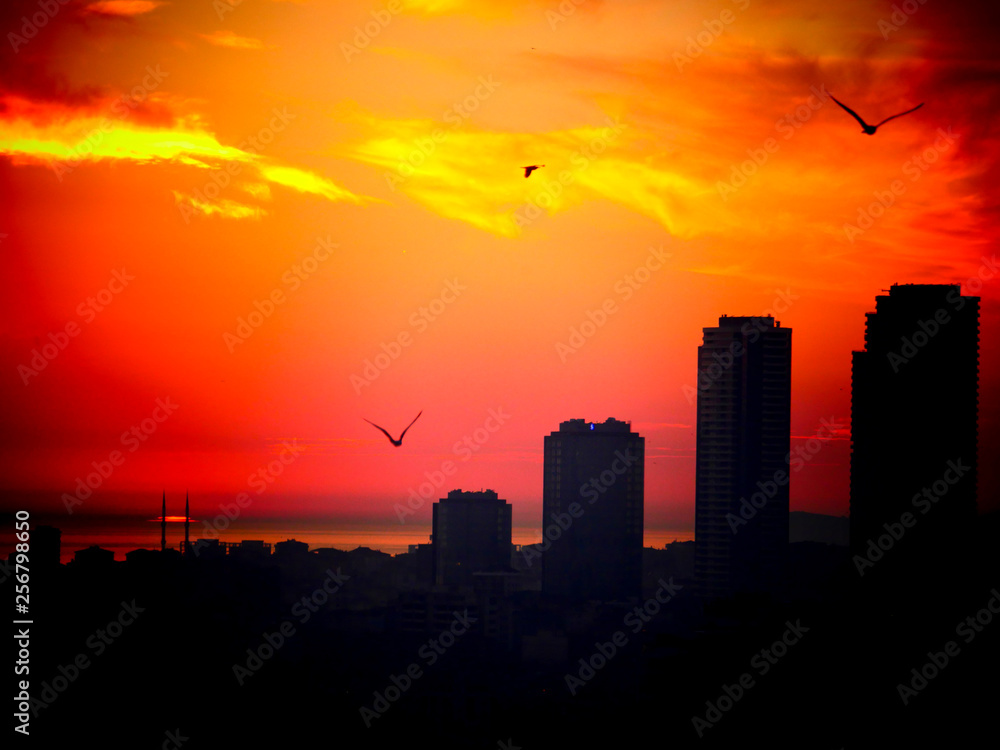 Sunset in the city Sunset in the city