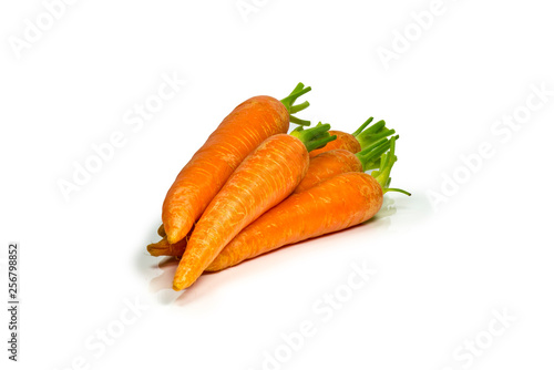 Carrot without Leafs