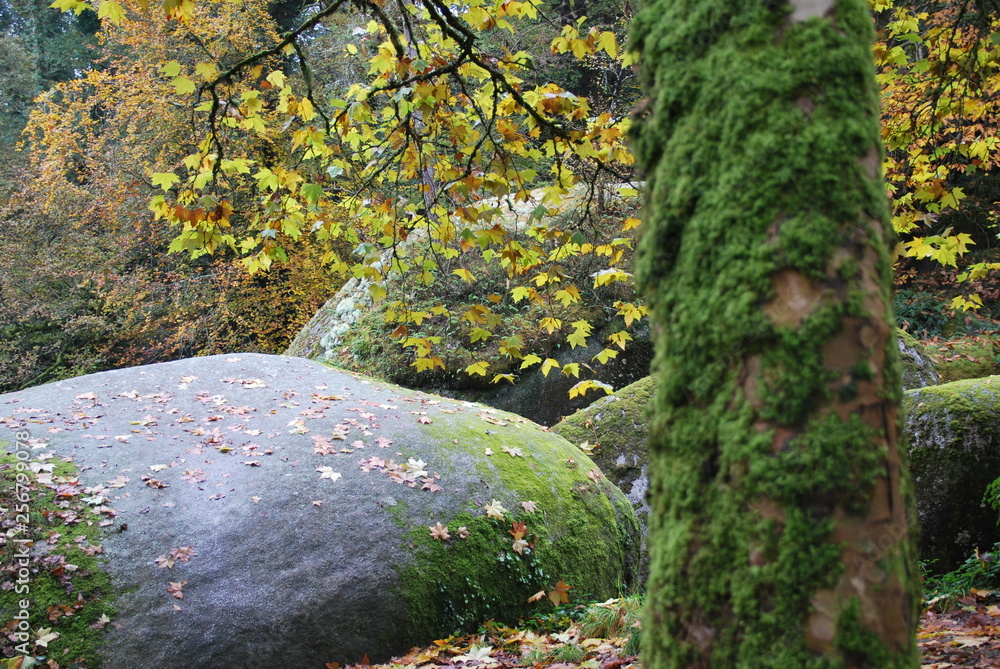 Forêt de Huelgoat dans le Finistère en Bretagne à l'automne, forêt de légendes, Forêt de Huelgoat dans le Finistère en Bretagne à l'automne, forêt de légendes,