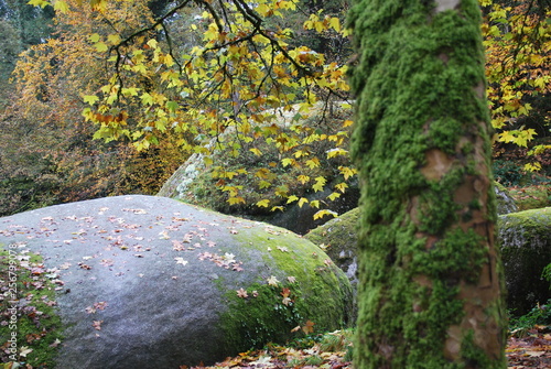 Forêt de Huelgoat dans le Finistère en Bretagne à l'automne, forêt de légendes, 