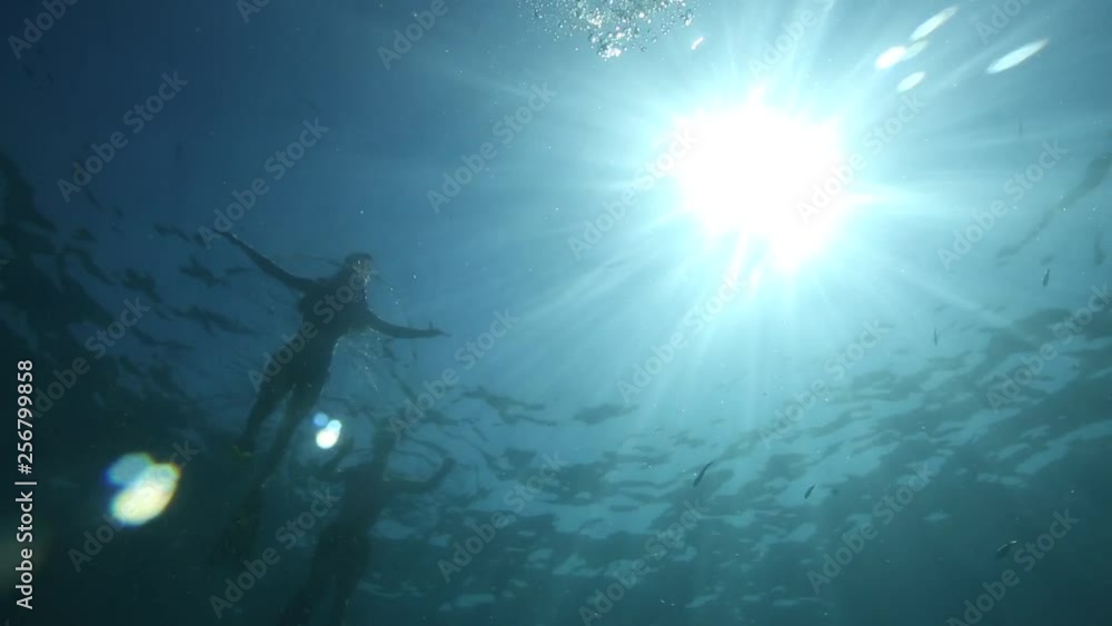 custom made wallpaper toronto digitalYoung couple swimming and diving at sea. Underwater shot