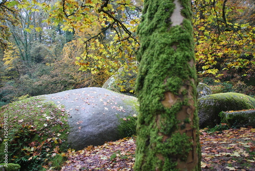 Forêt de Huelgoat dans le Finistère en Bretagne à l'automne, forêt de légendes, 
