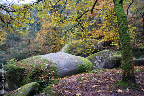Forêt de Huelgoat dans le Finistère en Bretagne à l'automne, forêt de légendes, 