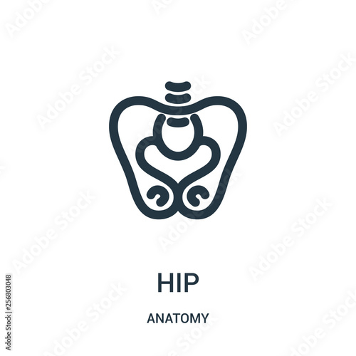 hip icon vector from anatomy collection. Thin line hip outline icon vector illustration. Linear symbol for use on web and mobile apps, logo, print media.