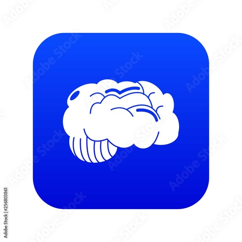 Brain icon blue vector isolated on white background