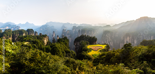 Foto Spectacular rice terrace panorama in front of Laowuchang village at sunset, in Yuanjiajie area of Wulingyuan National Park, Zhangjiajie, China
