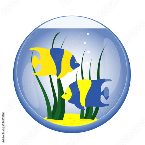 Fishbowl with yellow and blue tropical sea fish and seaweed. Aquarium, sea life, underwater. Vector illustration, flat design.