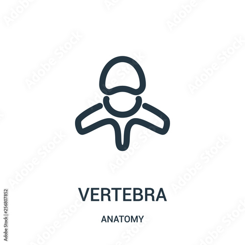 vertebra icon vector from anatomy collection. Thin line vertebra outline icon vector illustration. Linear symbol for use on web and mobile apps, logo, print media.