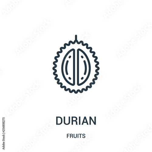 durian icon vector from fruits collection. Thin line durian outline icon vector illustration. Linear symbol for use on web and mobile apps, logo, print media.