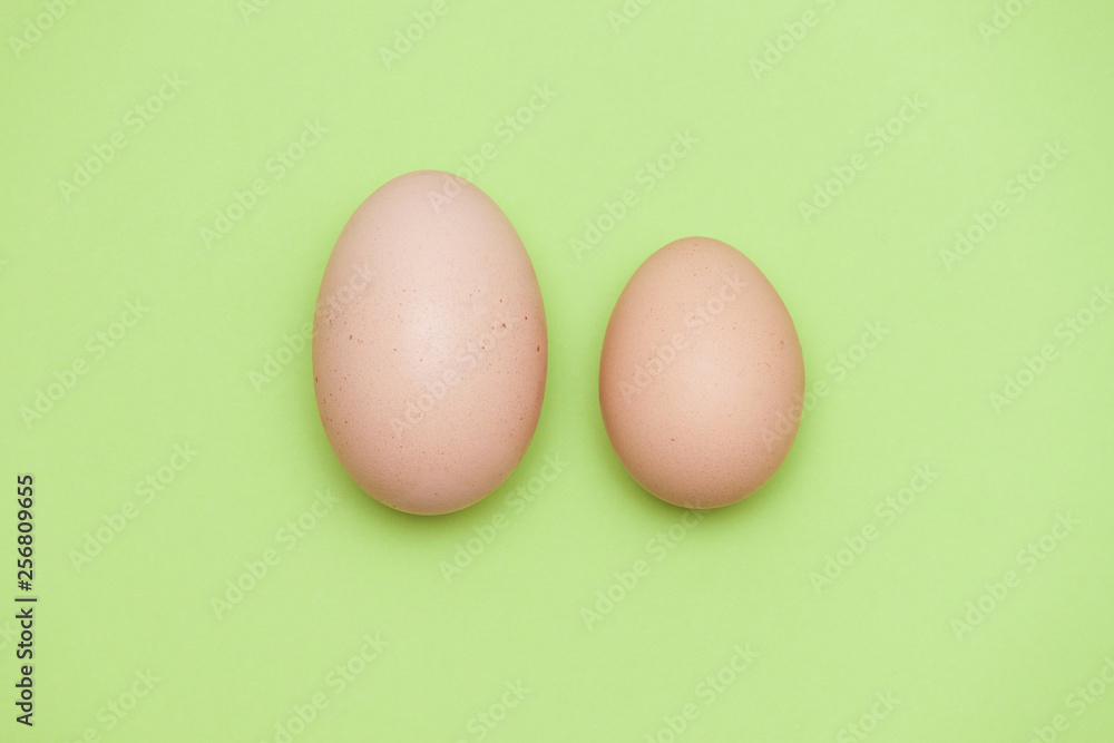 A big egg and a small egg on the light green background. A big egg and a small egg on the light green background.
