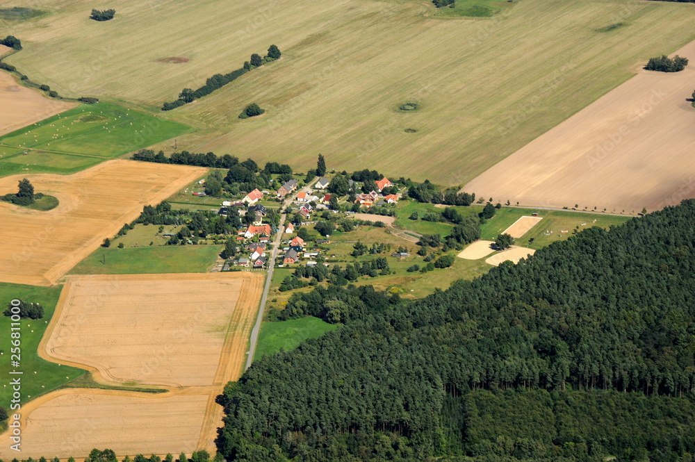 Fototapeta Oldenhagen w pobliżu Neuenkirchen