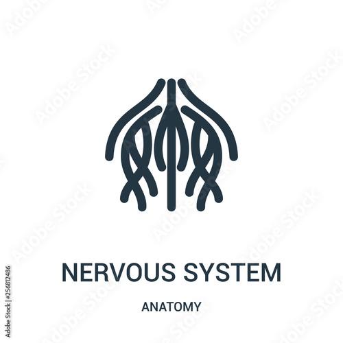 nervous system icon vector from anatomy collection. Thin line nervous system outline icon vector illustration. Linear symbol for use on web and mobile apps, logo, print media.