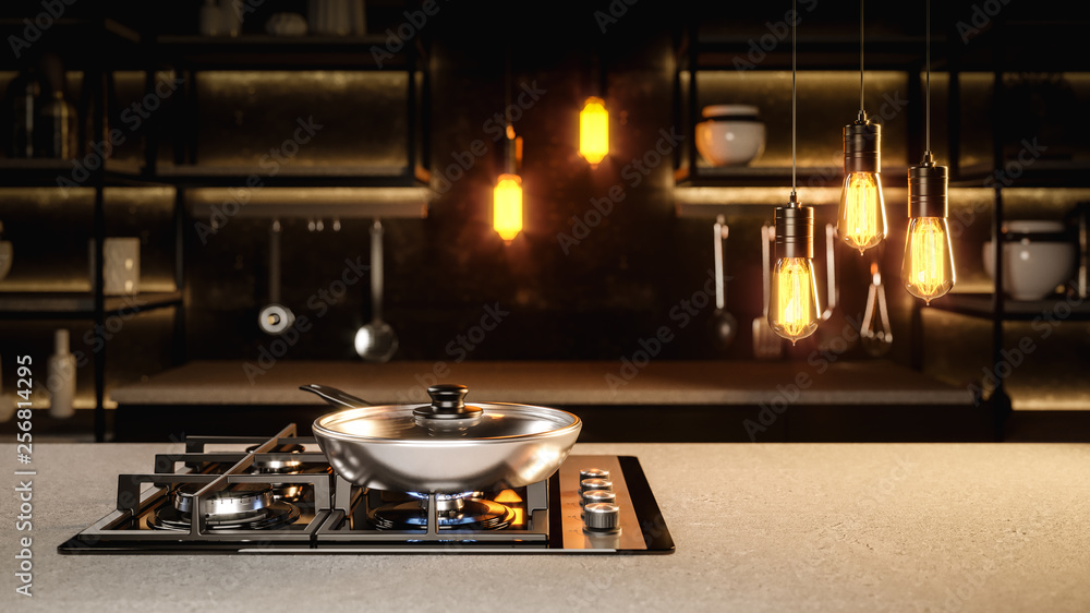 The new frying pan on the black glass cooking plate in the black loft interior with a Adison bulbs The new frying pan on the black glass cooking plate in the black loft interior with a Adison bulbs