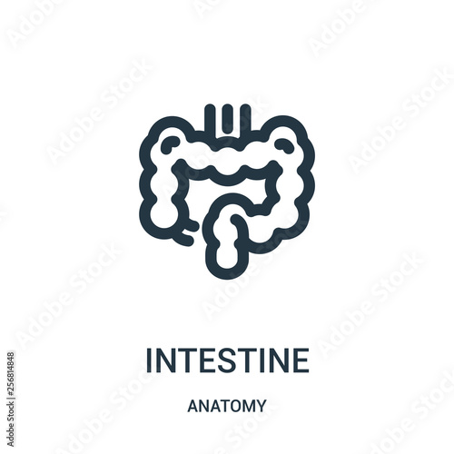intestine icon vector from anatomy collection. Thin line intestine outline icon vector illustration. Linear symbol for use on web and mobile apps, logo, print media.