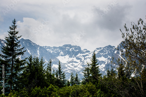 Fototapeta Naklejka Na Ścianę i Meble -  Góry - beskidy 4