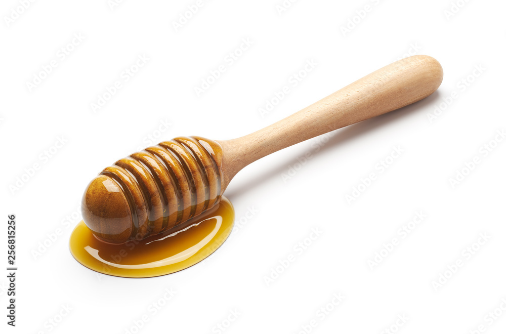 Honey dipper isolated Honey dipper isolated