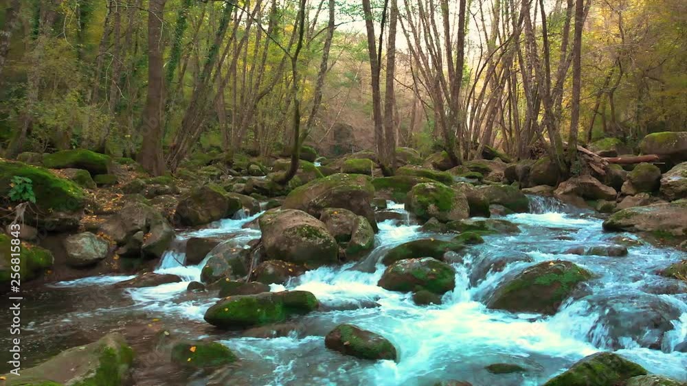 Nice small creek detail in the forest in Spain in a cloudy day Nice small creek detail in the forest in Spain in a cloudy day