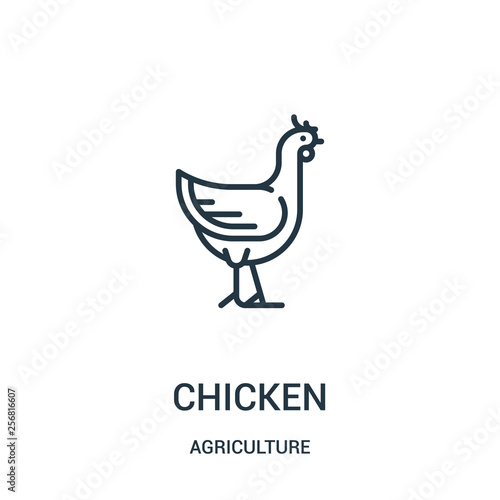 chicken icon vector from agriculture collection. Thin line chicken outline icon vector illustration. Linear symbol for use on web and mobile apps, logo, print media.
