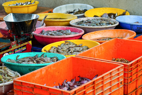 fresh seafood at the sea market © Ruslan