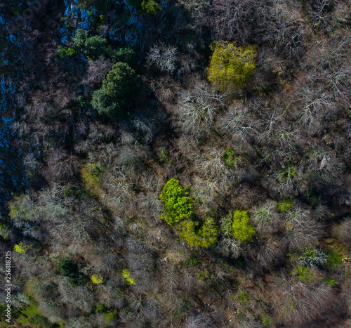 Aerial view, Mortesante, Miera Valley, Valles Pasiegos, Cantabria, Spain, Europe photo