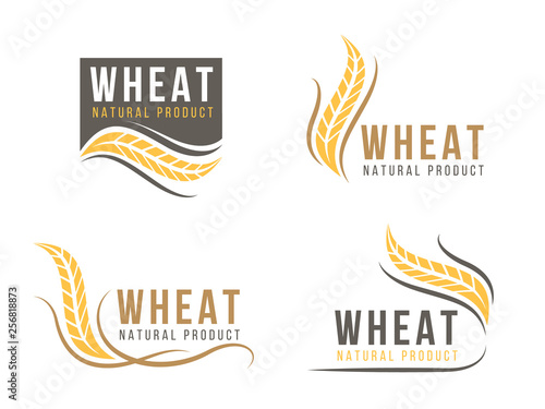 Abstract Wheat rice logo sign vector design