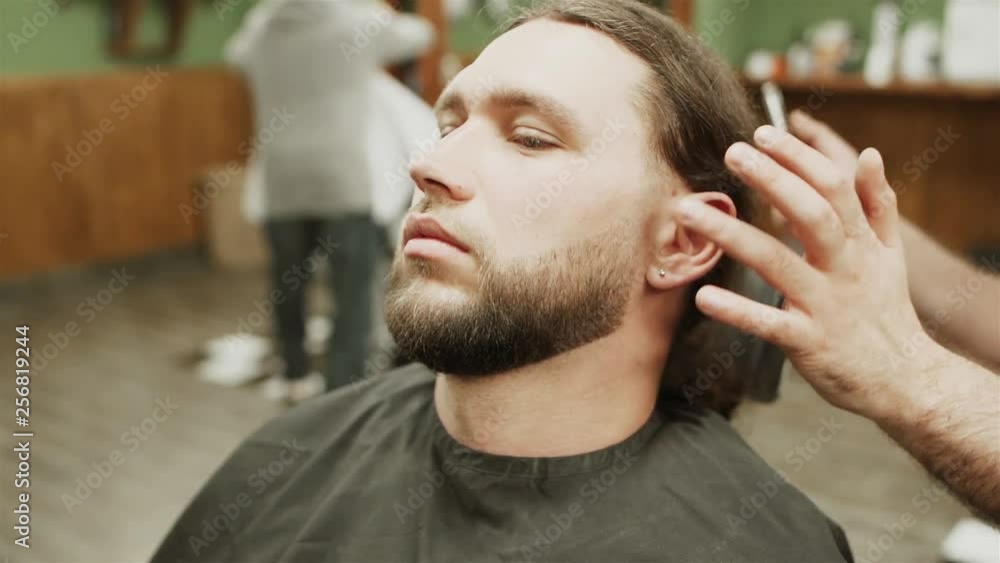 the Barber trims the beard of a bearded man the Barber trims the beard of a bearded man