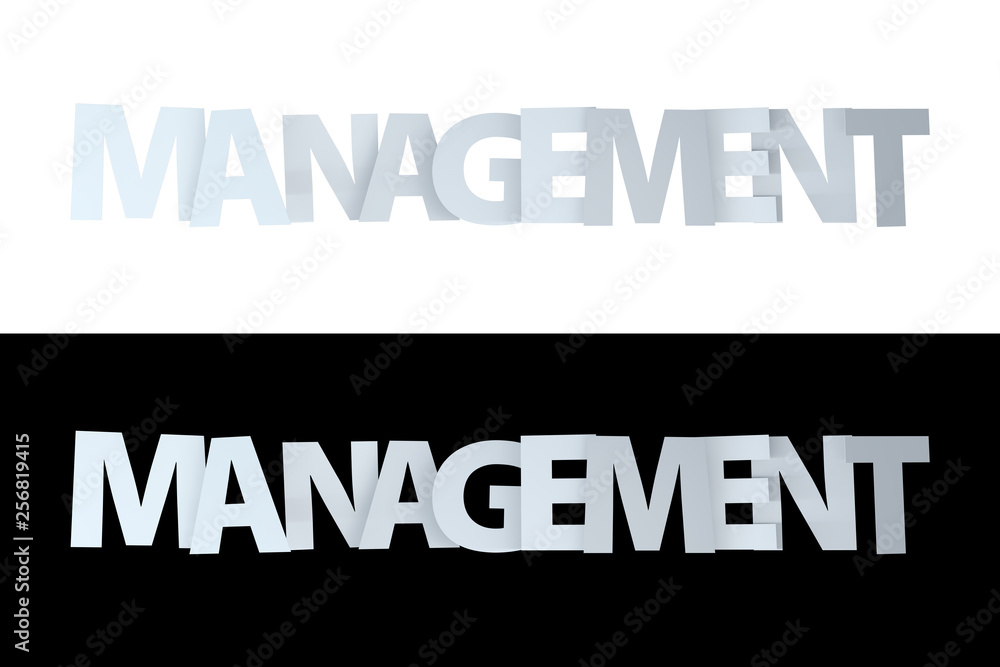 3D Management Text on White and Black Version