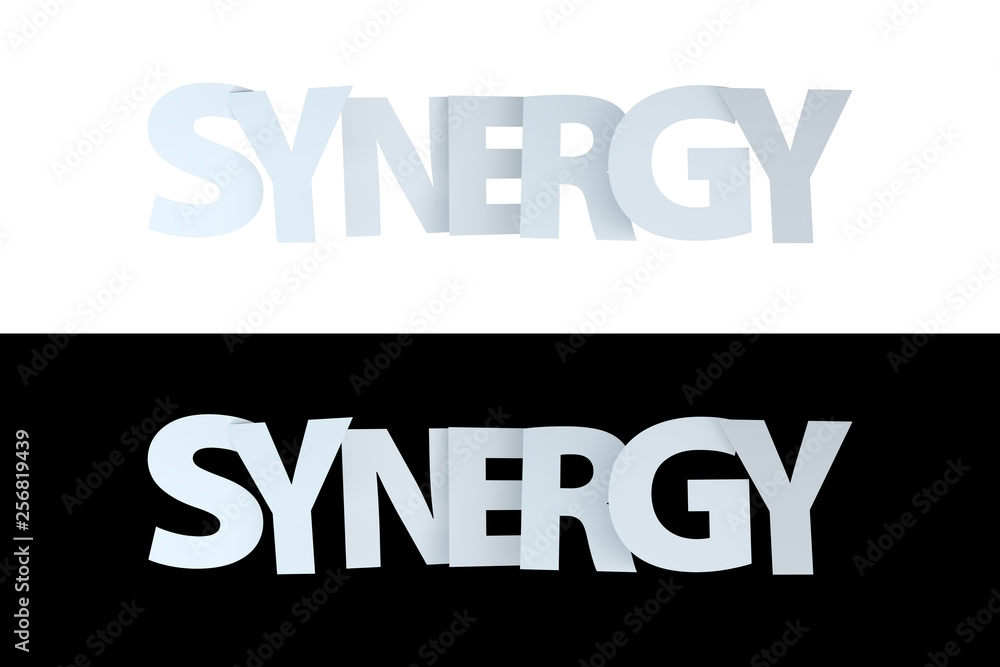 3D Synergy Text on White and Black Version 3D Synergy Text on White and Black Version