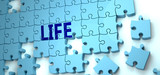 Life puzzle - complexity, difficulty, problems and challenges of a complicated concept idea pictured as a jigsaw puzzle tiles with a English word, 3d illustration