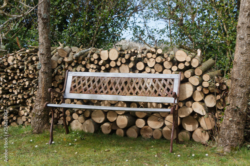 Heap of wood logs and bench made in wrought iron and wood in a garden during winter © oceane2508