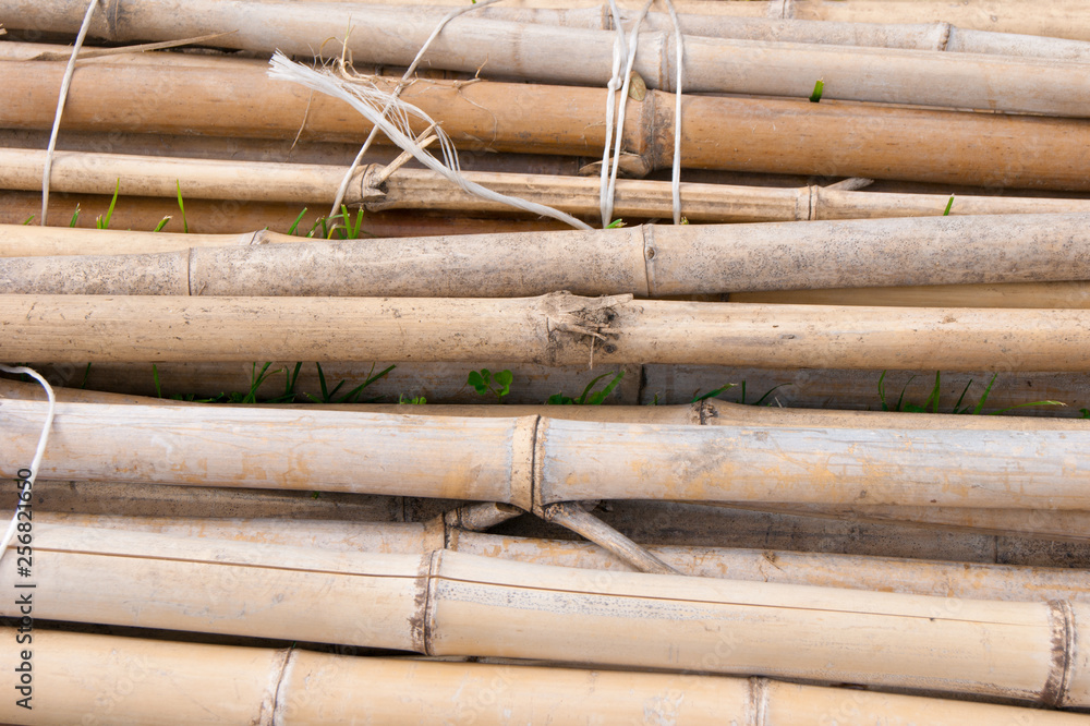 bundle of dried bamboo lying on the ground bundle of dried bamboo lying on the ground