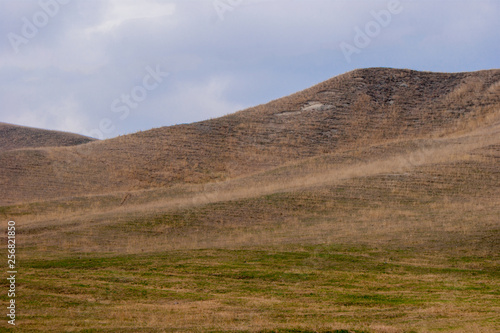 spring hills pasture background