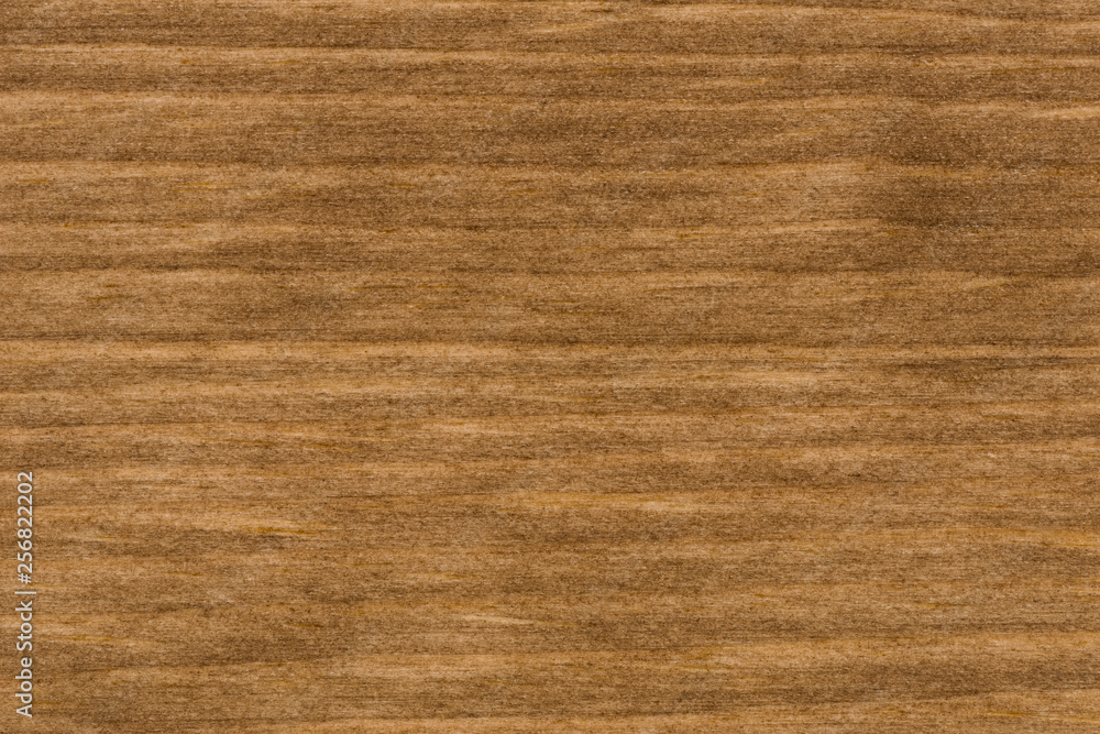 background of pine wood surface background of pine wood surface