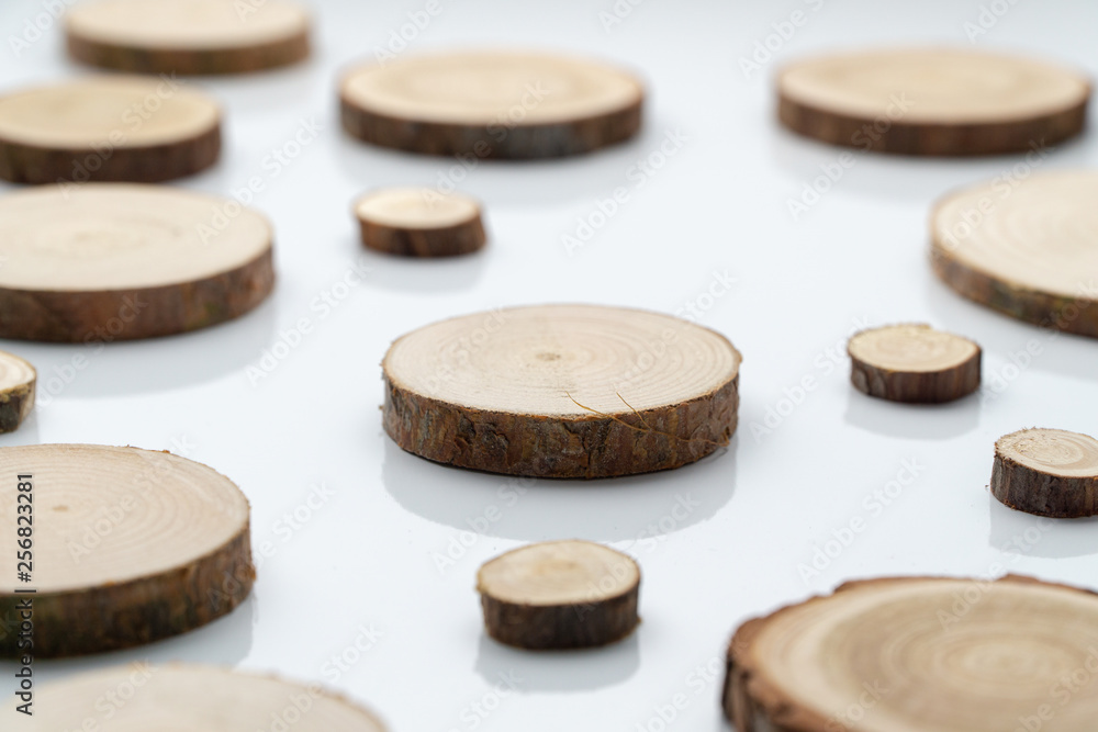 Pine tree cross-sections with annual rings on plane white surface. Lumber piece close-up shot. Pine tree cross-sections with annual rings on plane white surface. Lumber piece close-up shot.