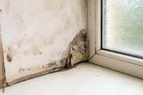 Billede på lærred Wetting and growth of molds of window slope near plastic window and windowsill