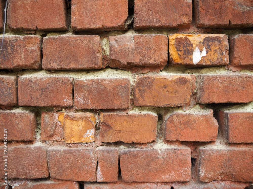 Obraz premium Ordinary brick wall