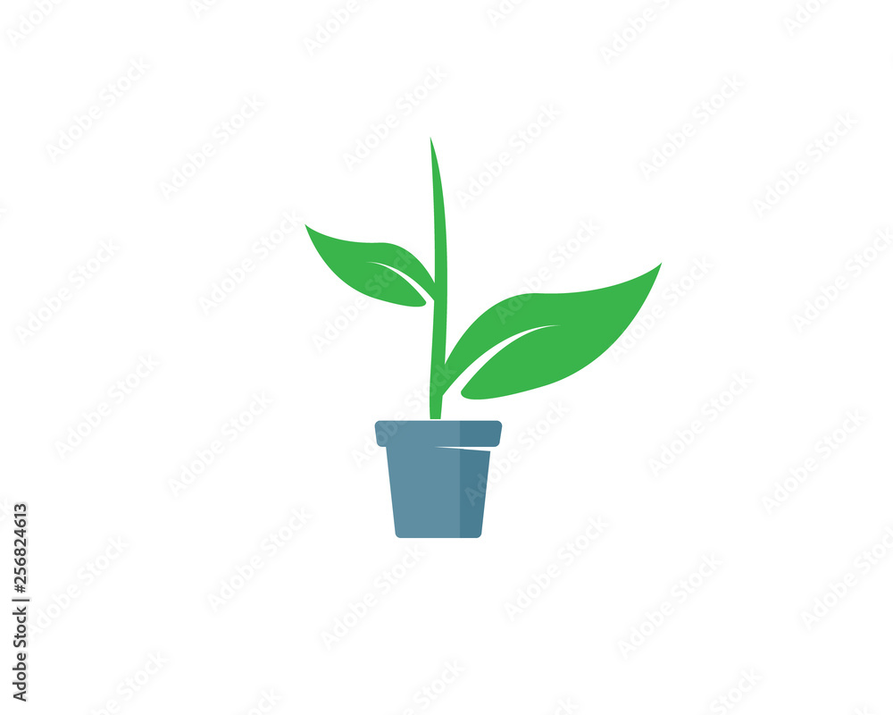 creative tree grow in the pot creative tree grow in the pot