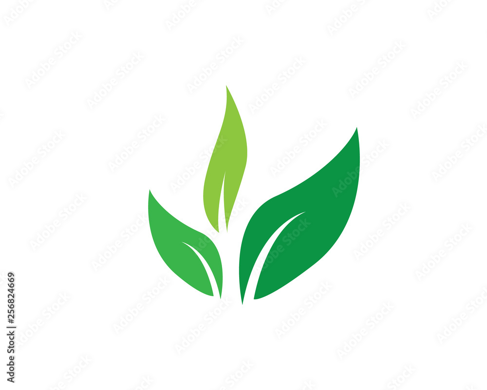 creative leaf green environment creative leaf green environment