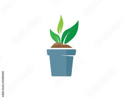 creative tree grow in the pot