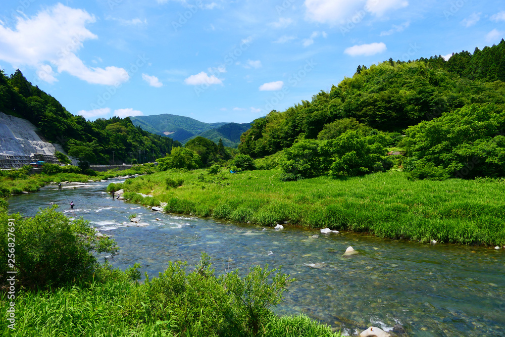 夏の気仙川。陸前高田　岩手　日本。７月上旬。