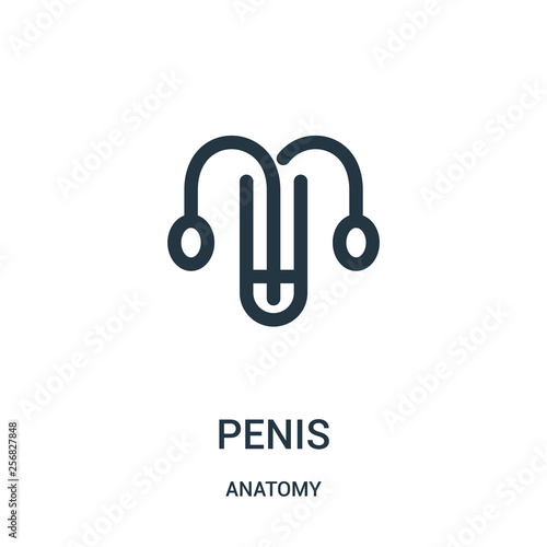 penis icon vector from anatomy collection. Thin line penis outline icon vector illustration. Linear symbol for use on web and mobile apps, logo, print media.
