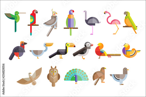 Colorful set of different birds. Pelican, owl, toucan, eagle, peacock, parrot, falcon, flamingo, pigeon, pheasant. Wild creatures. Vector icons in geometric flat style