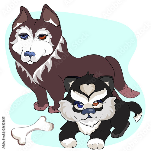 Husky with different color eyes with different color eyes.cartoon stile.
