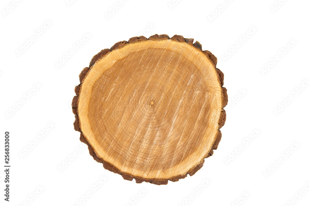 Flat lay view of natural pine tree slice with bark, isolated on white, studio shot. Wood material background concept. Flat lay view of natural pine tree slice with bark, isolated on white, studio shot. Wood material background concept.