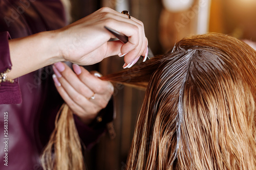 Hairdresser is dyeing female hair. Hairstylist with brush applying mask to hair of her client in beauty hair salon. The process of keratin straightening, hair colouring.