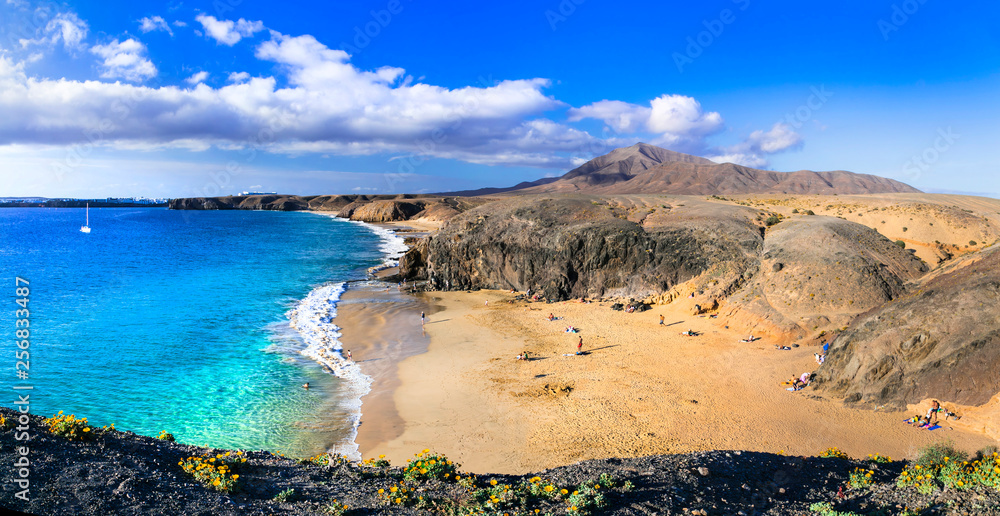 Beautiful volcanic nature and beaches of Lanzarote.Papagayo beach. Canary islands, Spain - obrazy, fototapety, plakaty 