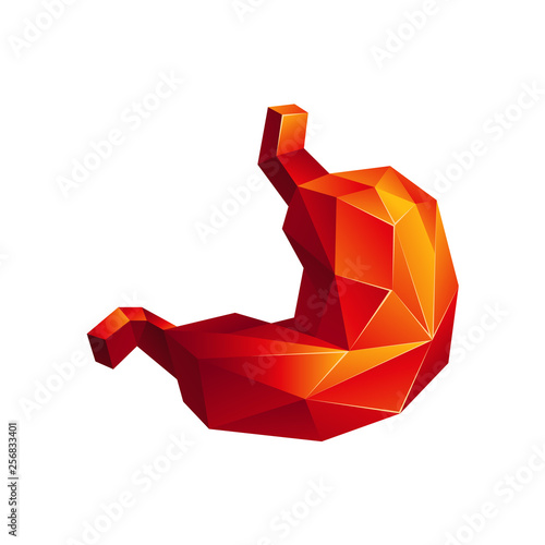 Red low poly human stomach on a white background. Abstract anatomy organ. Stomach in 3D polygon style.