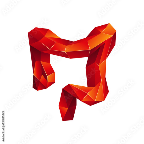 Red low poly human colon on a white background. Abstract anatomy organ. Large intestine in 3D polygon style.