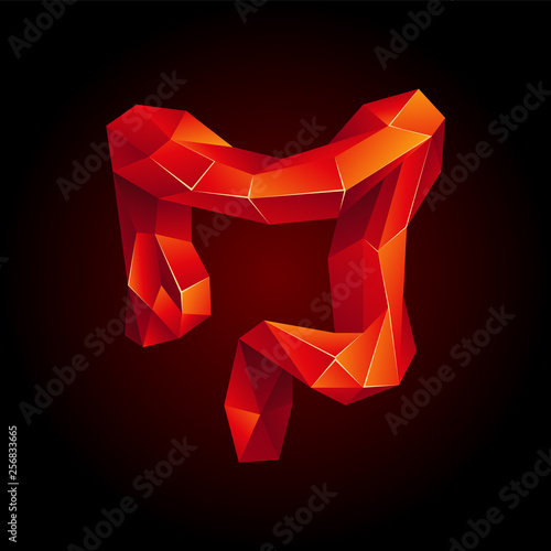 Red low poly human colon on a black background. Abstract anatomy organ. Large intestine in 3D polygon style.