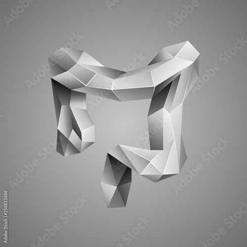 Gray low poly human colon. Abstract anatomy organ. Large intestine in 3D polygon style.